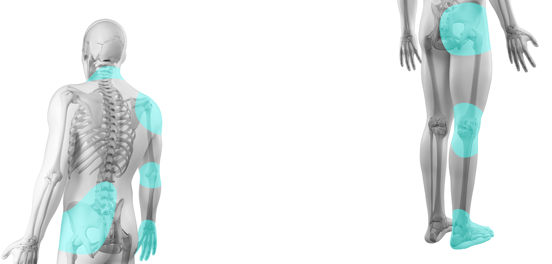 척추·관절 섹션 메인 이미지